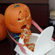 Illustration for article titled Crowd Sourcing - Halloween Costume for New Boy!